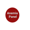 Anemia Panel