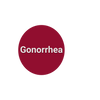 Gonorrhea (Neisseria gonorrhoeae, NAA)