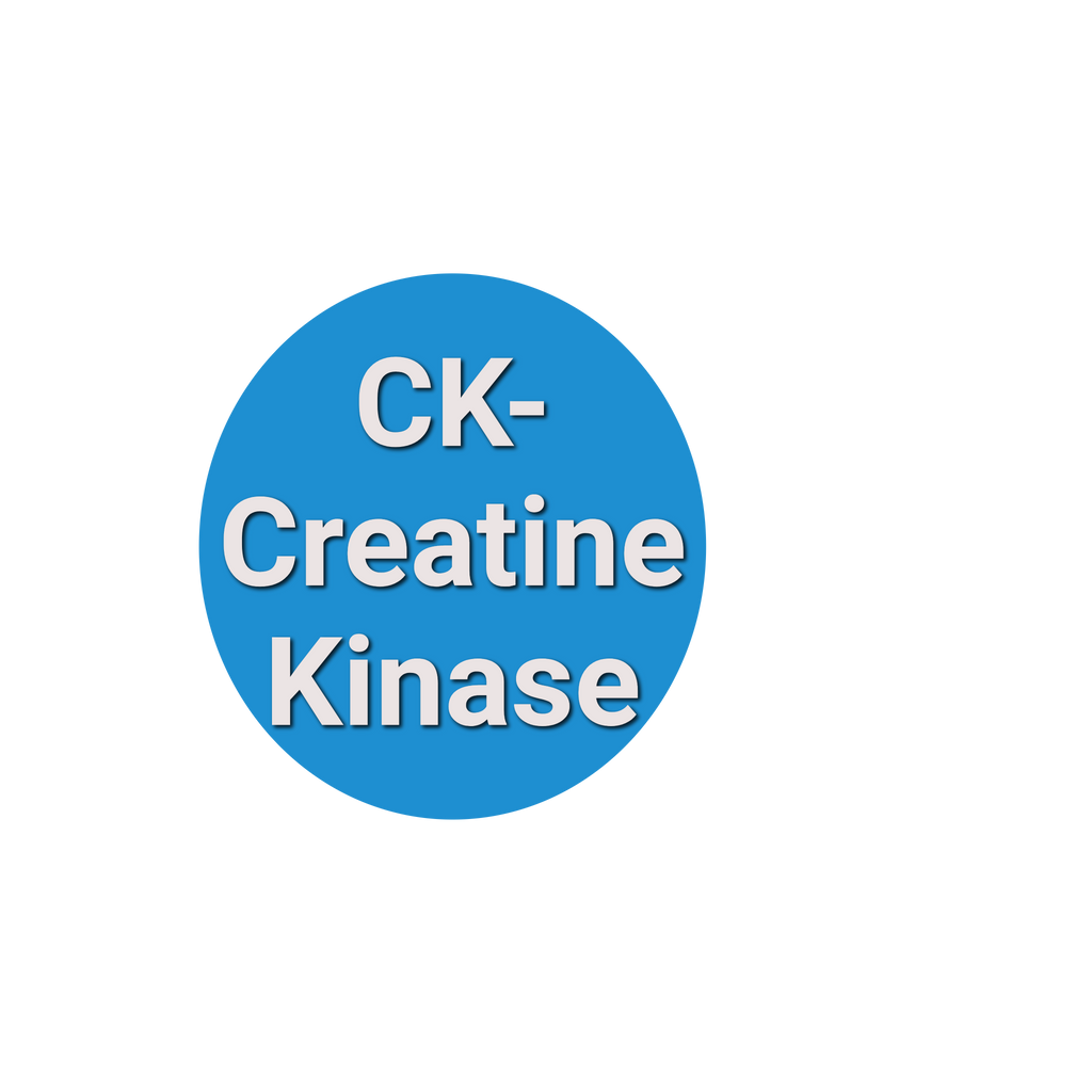CK- Creatine Kinase