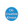 CK- Creatine Kinase