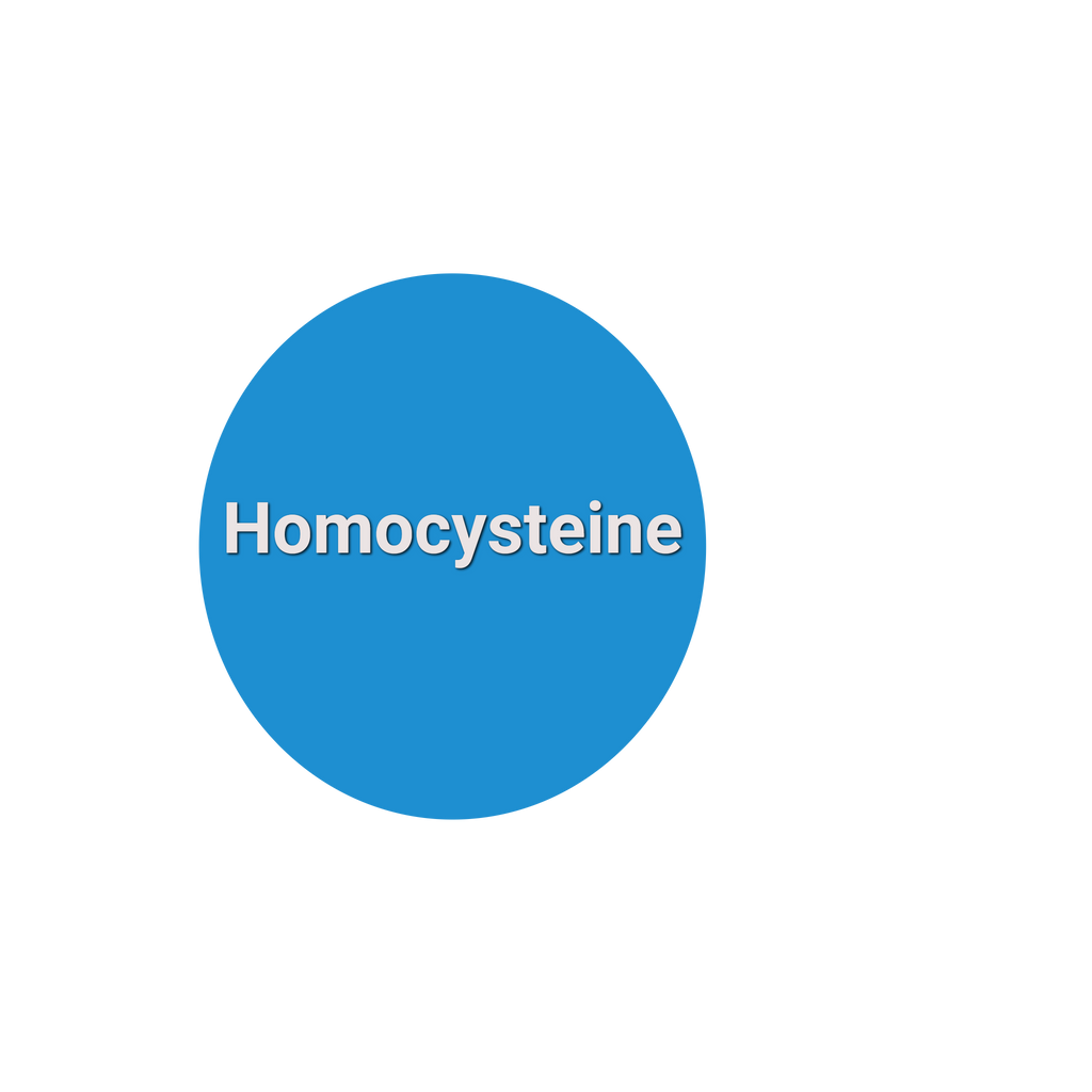 Homocysteine Test
