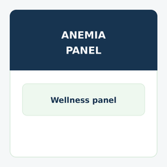 Anemia Panel