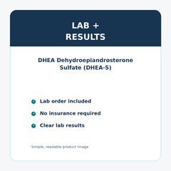 DHEA Dehydroepiandrosterone Sulfate (DHEA-S) details