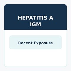 Hepatitis A IGM Blood Test