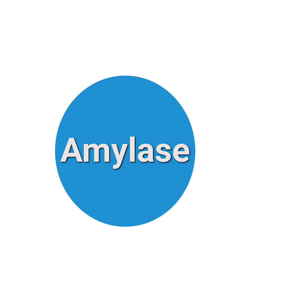 Amylase