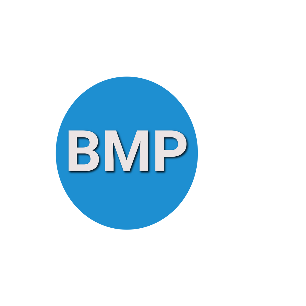 Basic Metabolic Panel (BMP)