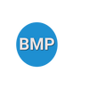 Basic Metabolic Panel (BMP)