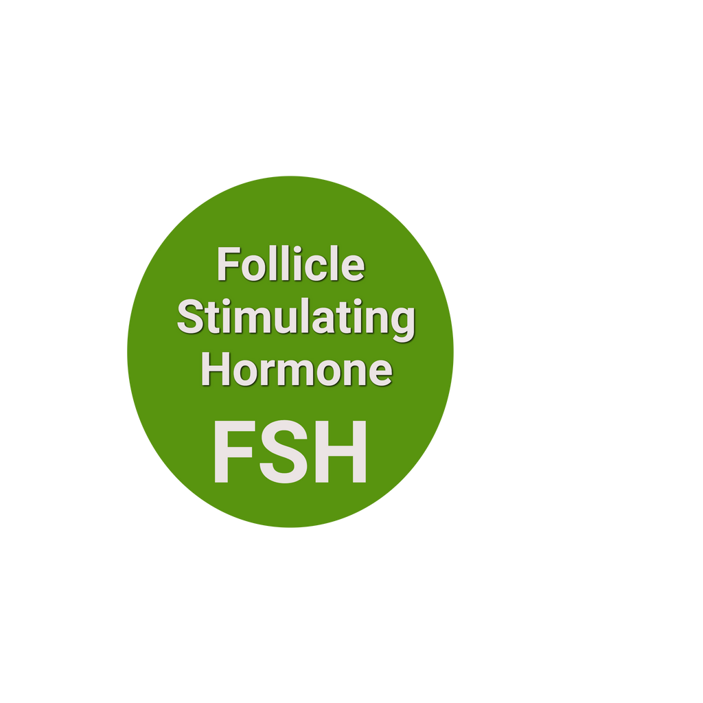 Follicle Stimulating Hormone (FSH)