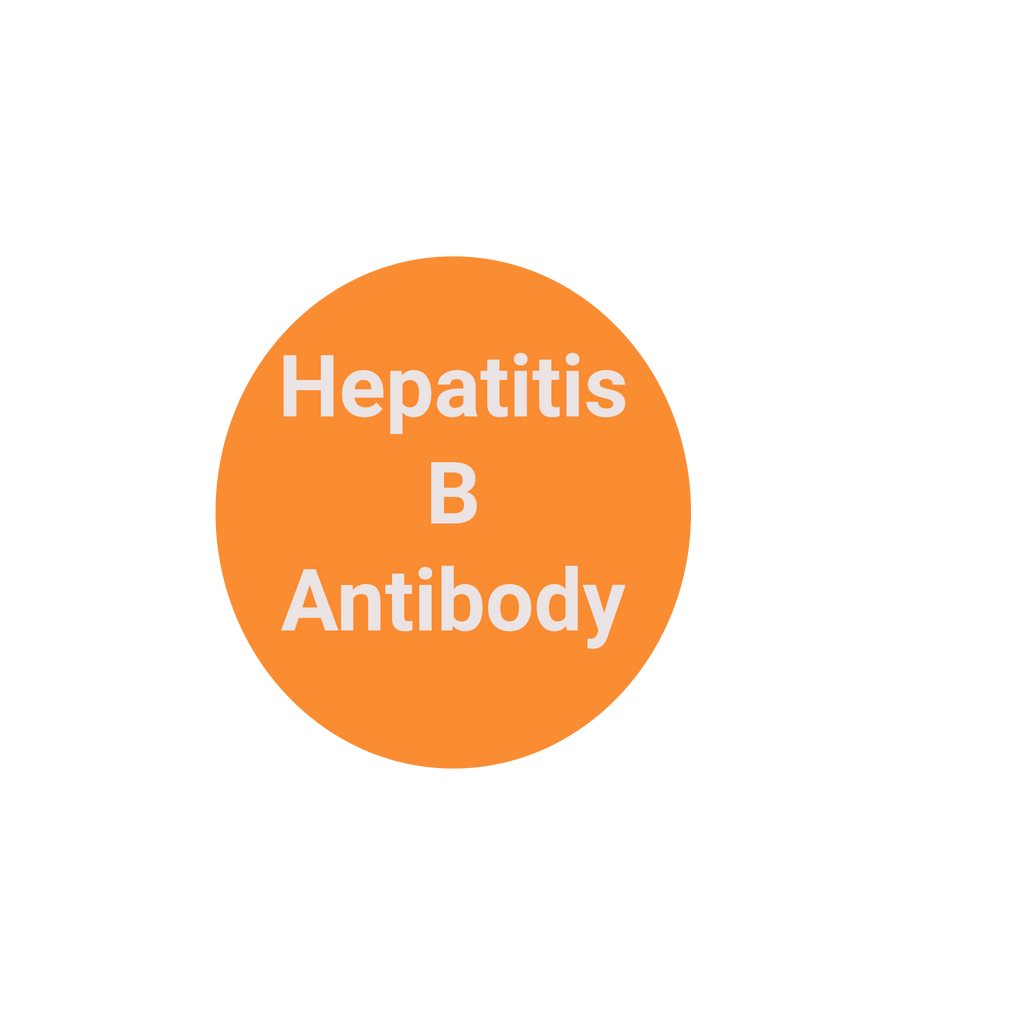 Hep B Titer- (Hep B Surface, antibody) Quantitative