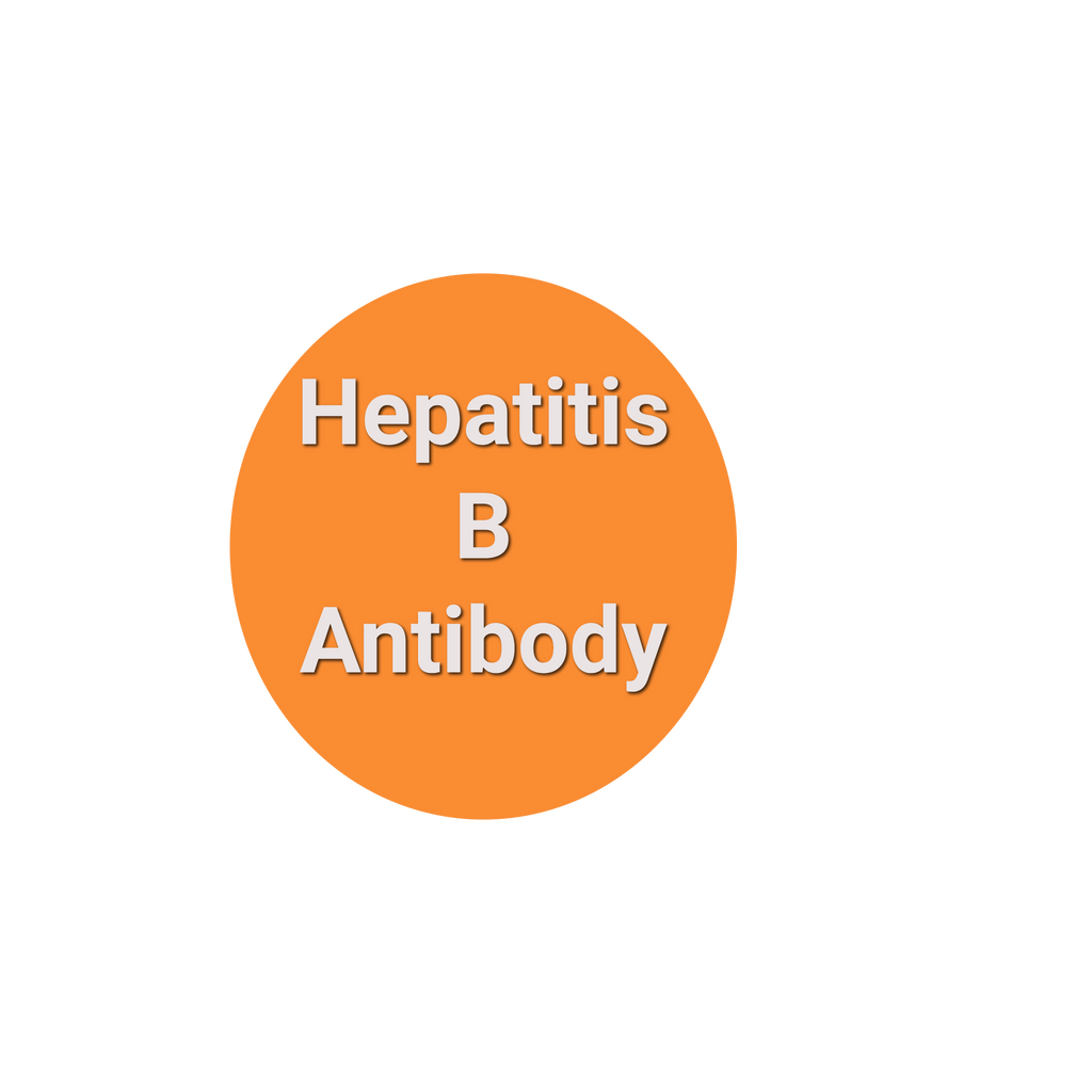 Hep B Titer- (Hep B Surface, antibody) Quantitative for Minor