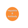 Hep B Titer- (Hep B Surface, antibody) Quantitative for Minor