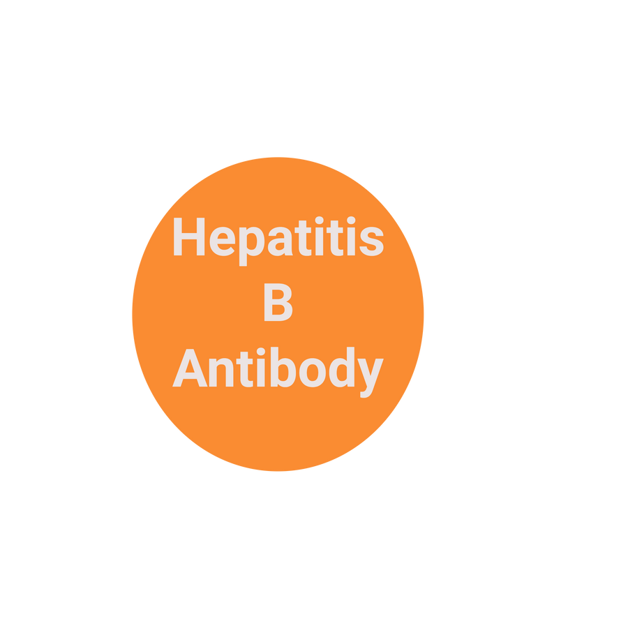 (Hep B Titer) HBV Surface, antibody Quantitative Test.