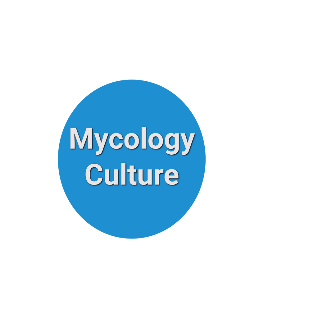 Fungus (Mycology) Culture