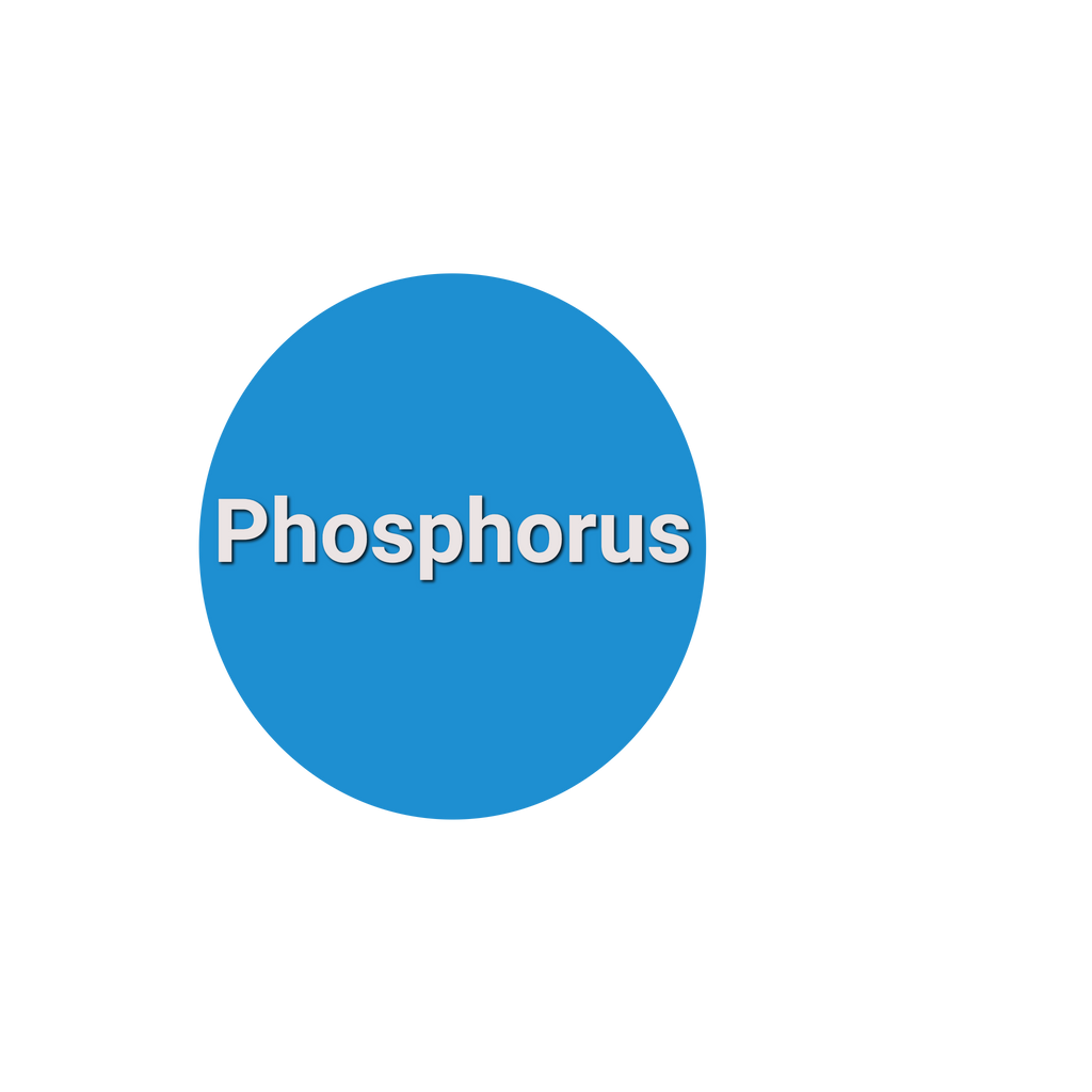 Phosphorus