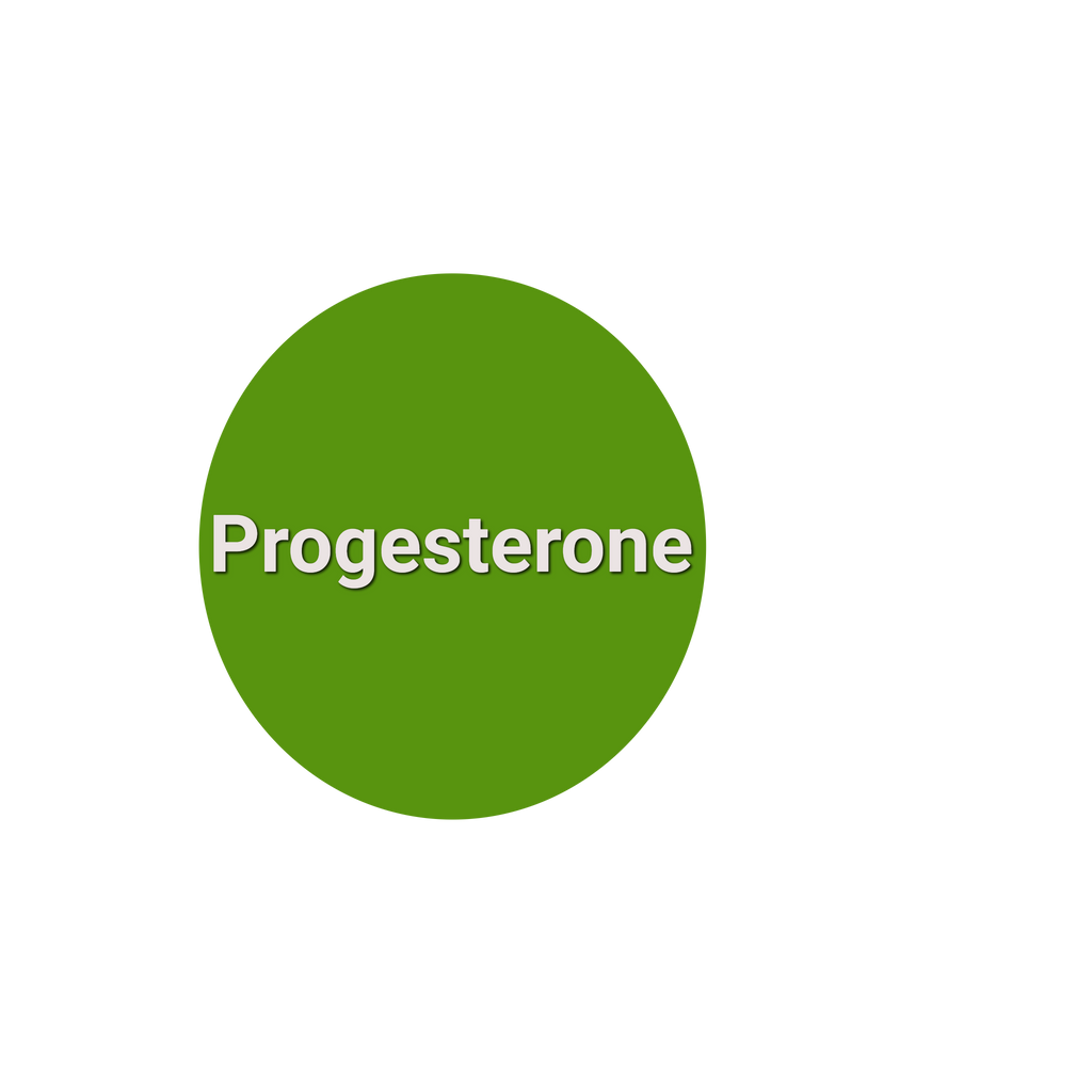 Progesterone Blood Test