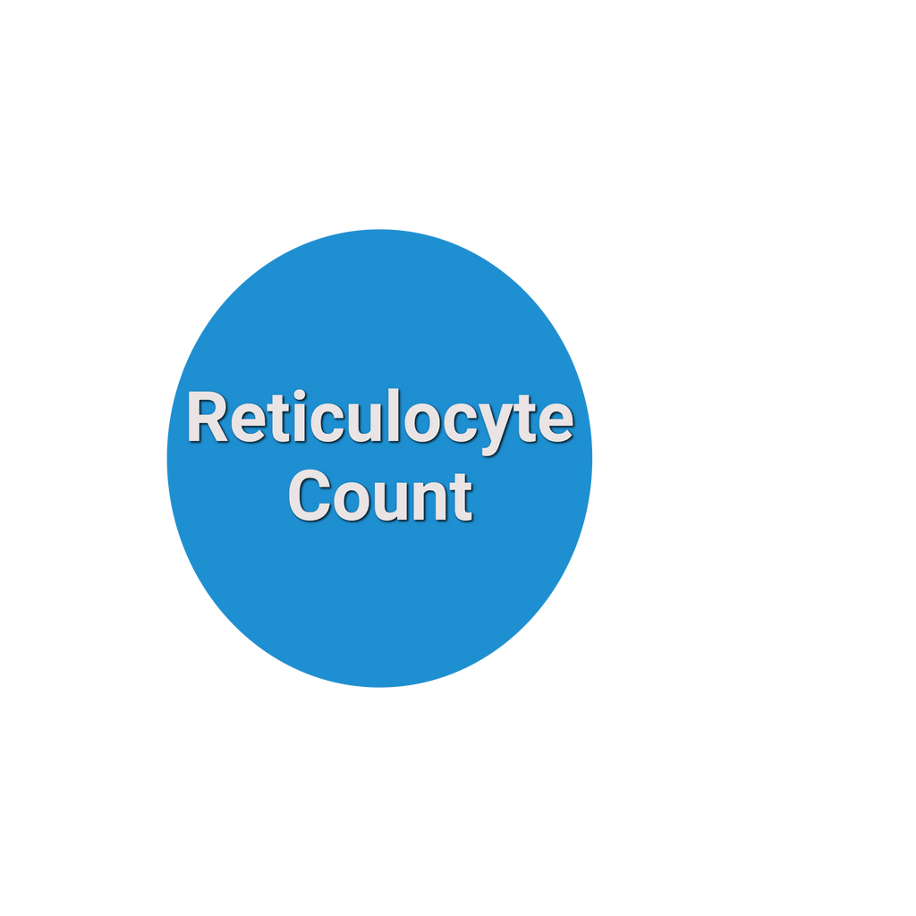 Reticulocyte Count