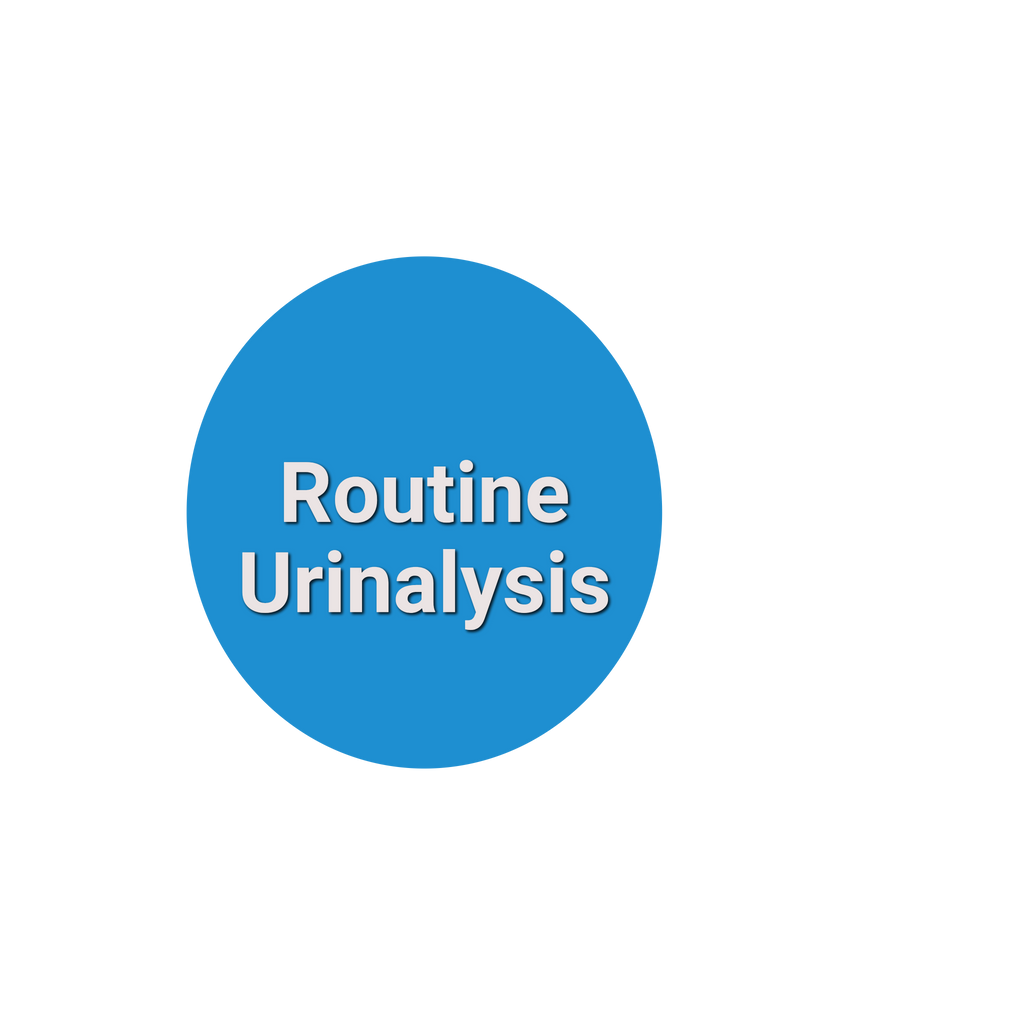 Routine Urinalysis