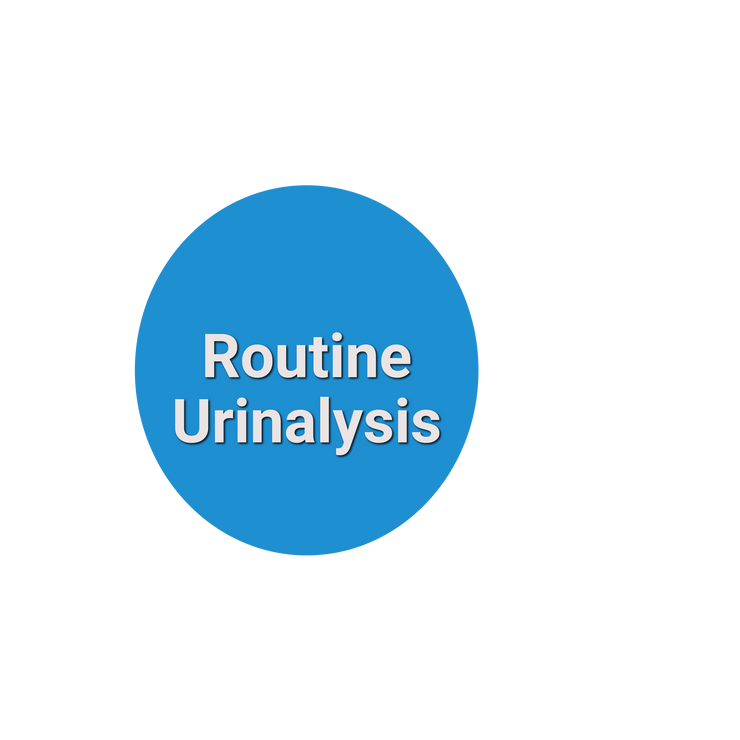 Routine Urinalysis – LabReqs.com