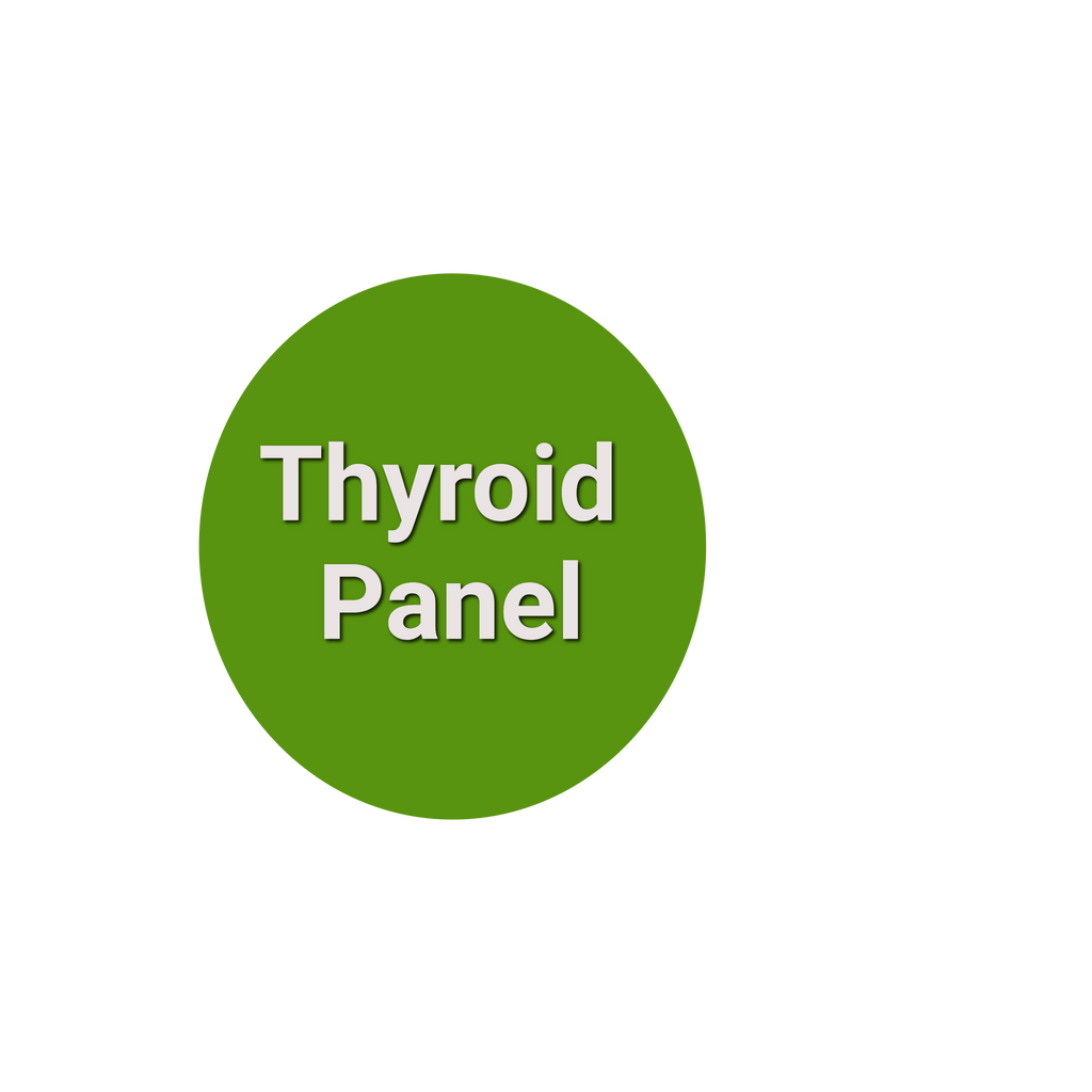 Thyroid Panel Test