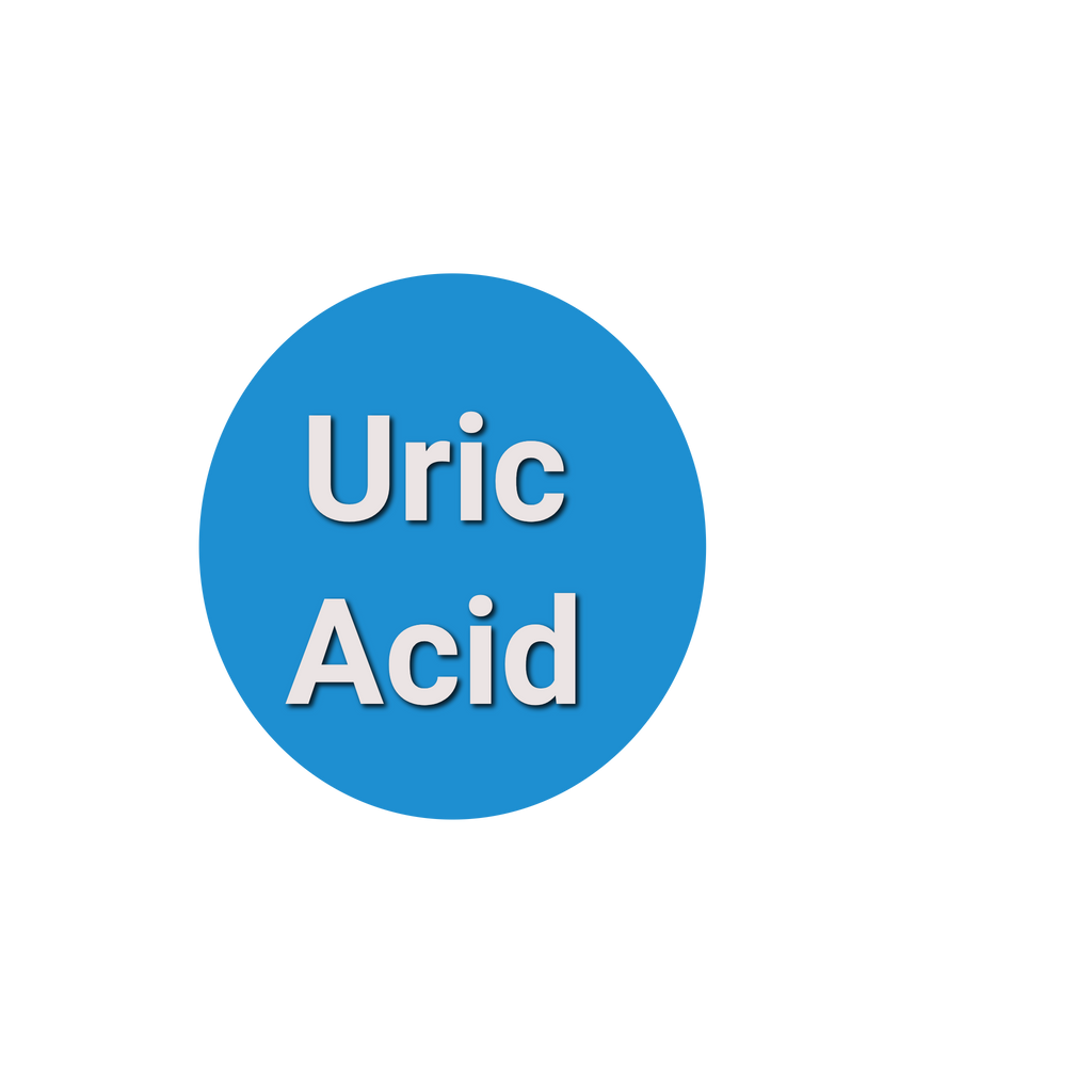 Uric Acid Test