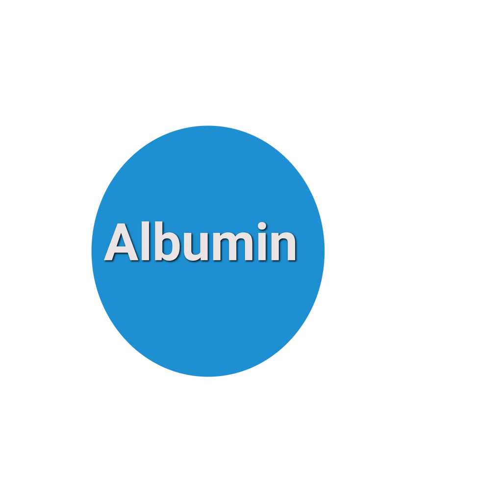 Albumin