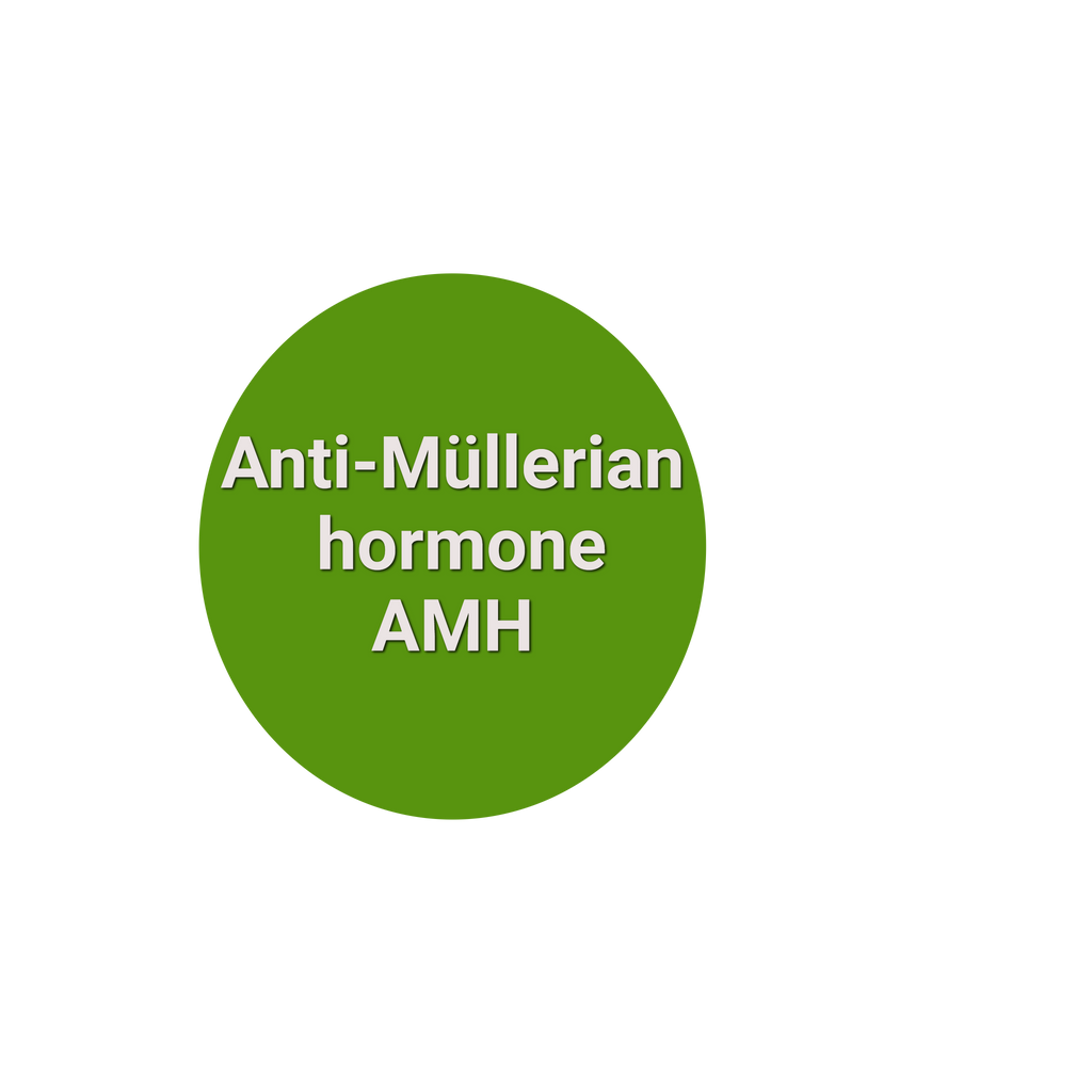 Anti-Müllerian hormone (AMH)