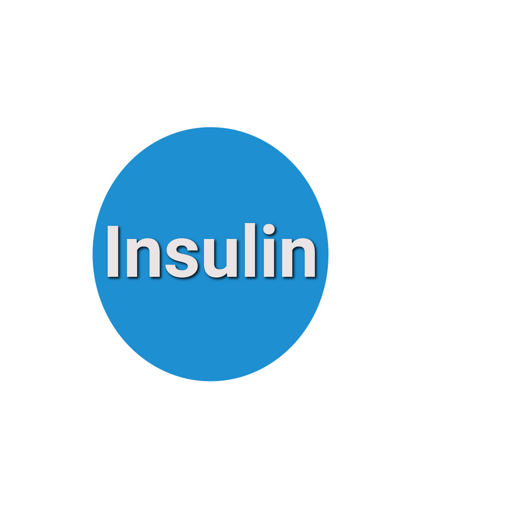 Insulin