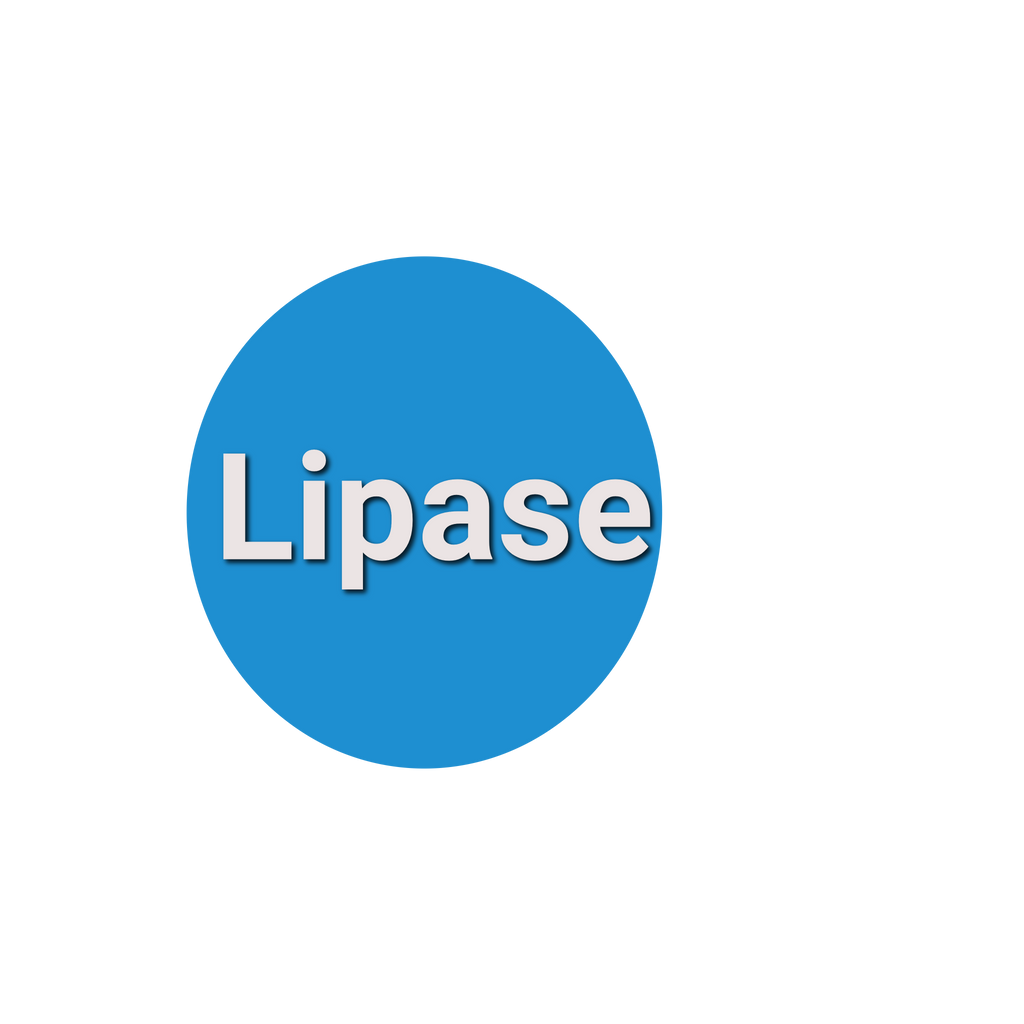 Lipase