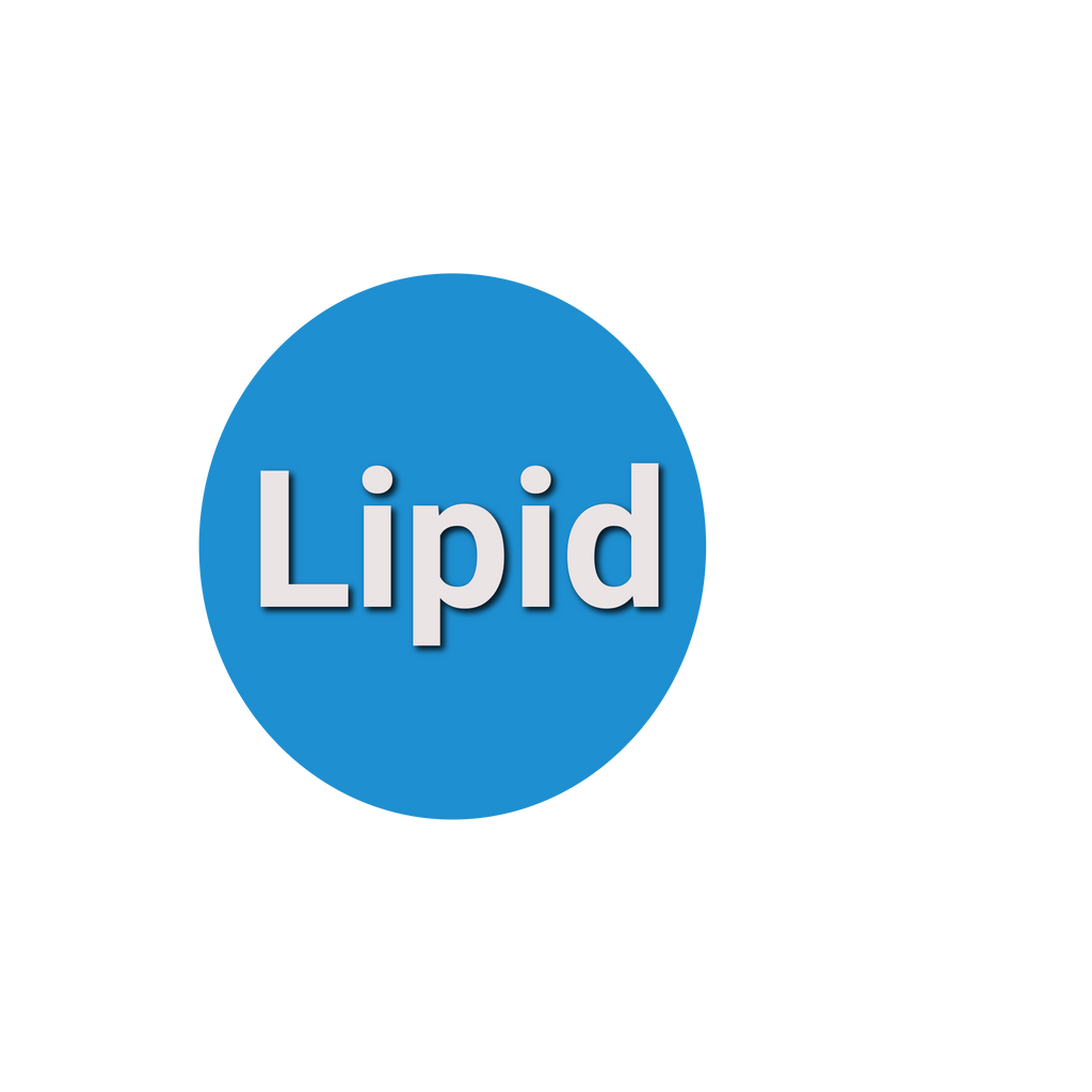 Lipid Profile